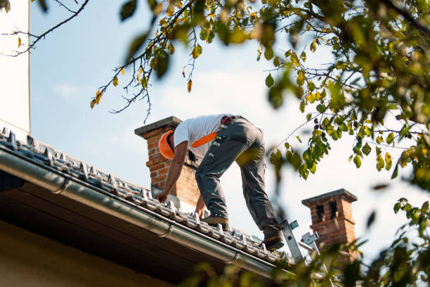 Best Flat Roof Repair Services  in Mystic Island, NJ